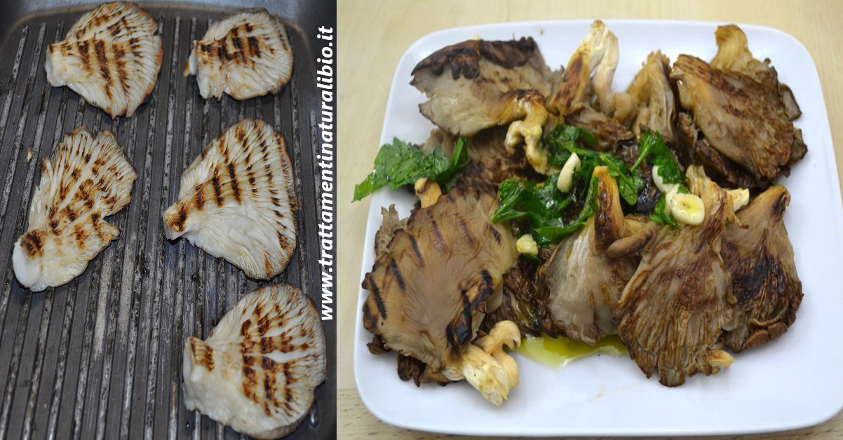 Pleurotus alla Griglia Pleurotus alla Griglia