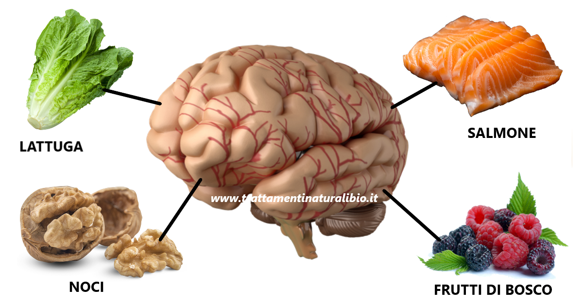 4 alimenti che triplicano memoria, concentrazione e capacità di attenzione