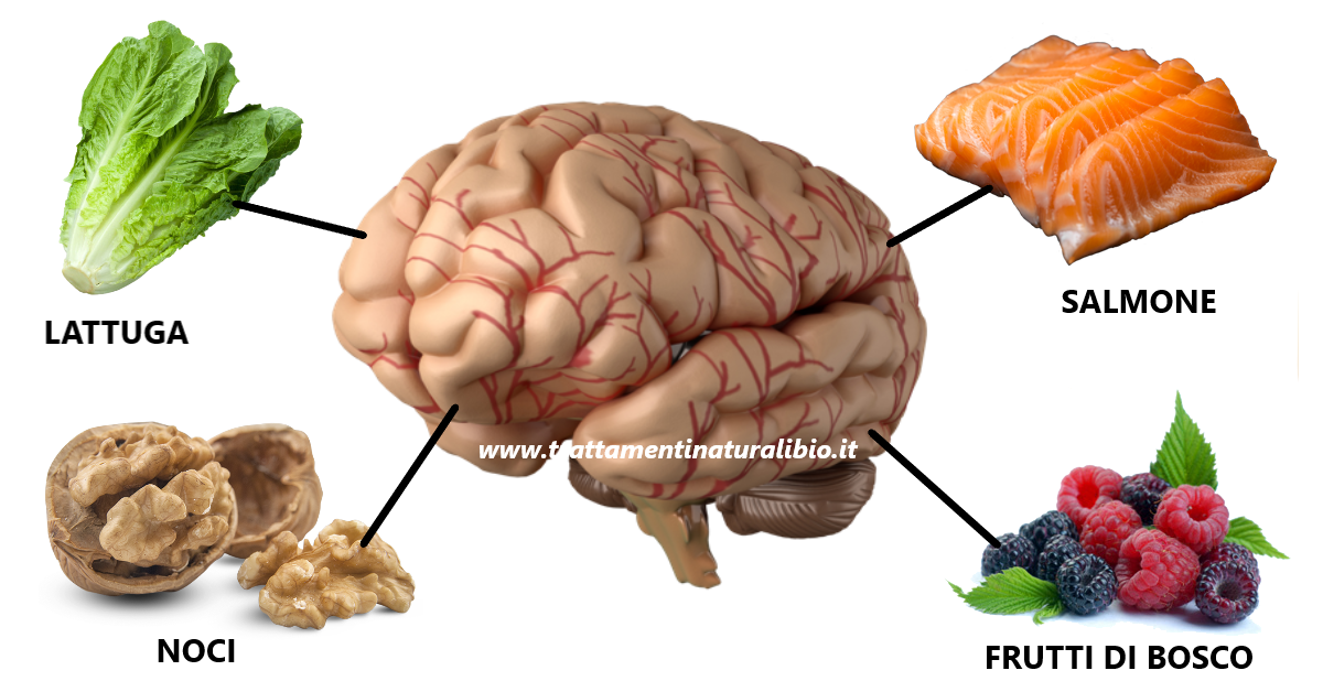 4 alimenti che triplicano memoria, concentrazione e capacità di attenzione 4 alimenti che triplicano memoria, concentrazione e capacità di attenzione