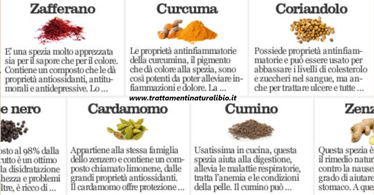 Le spezie che curano corpo e mente Le spezie che curano corpo e mente
