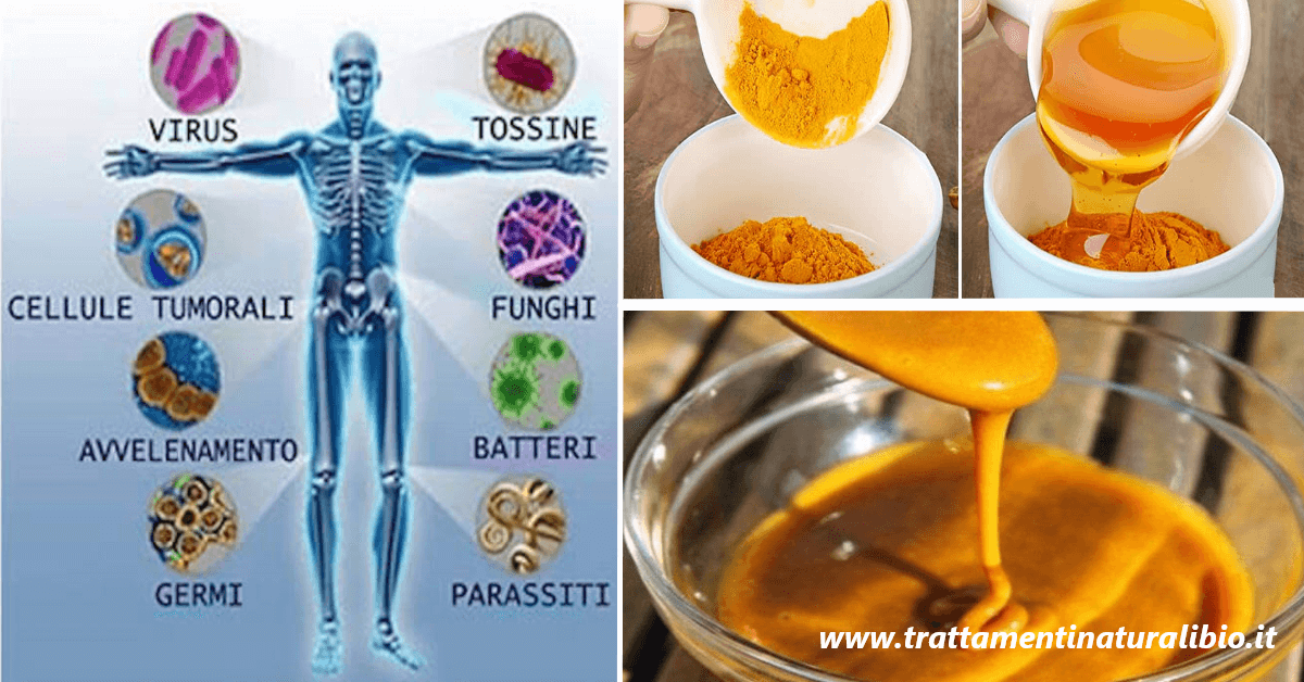 Miele e curcuma abbinali così per preparare un eccellente rimedio antibiotico naturale Miele e curcuma: abbinali così per preparare un eccellente rimedio antibiotico naturale