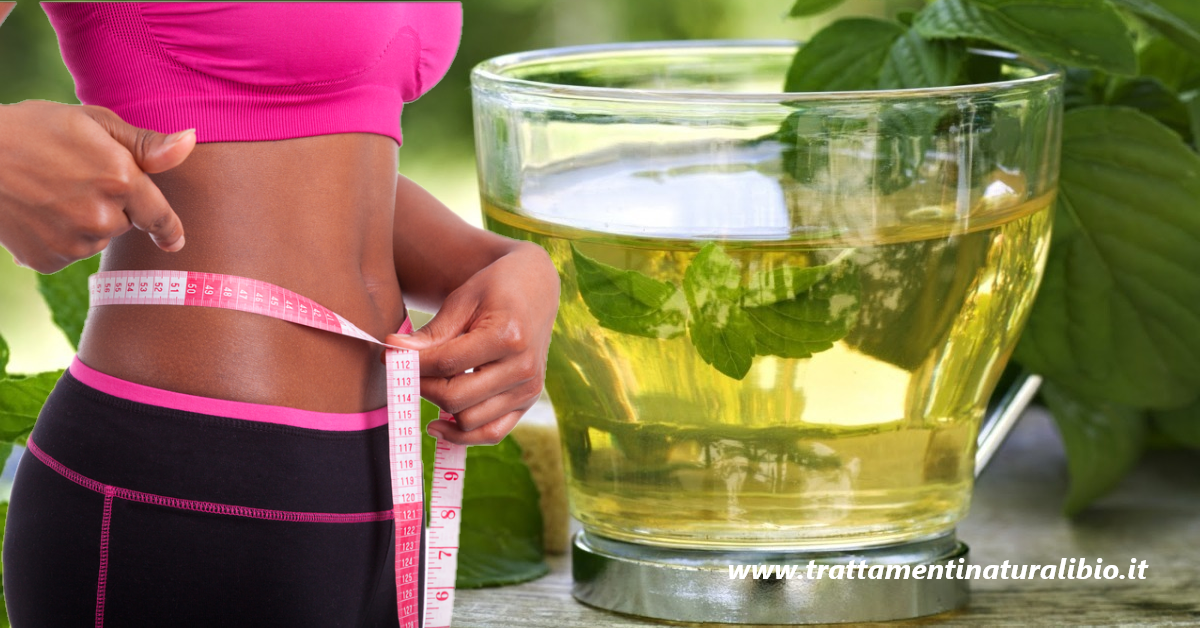La tisana alla menta purifica lo stomaco e l'intestino favorendo una veloce perdita di peso La tisana alla menta: purifica lo stomaco e l'intestino favorendo una veloce perdita di peso