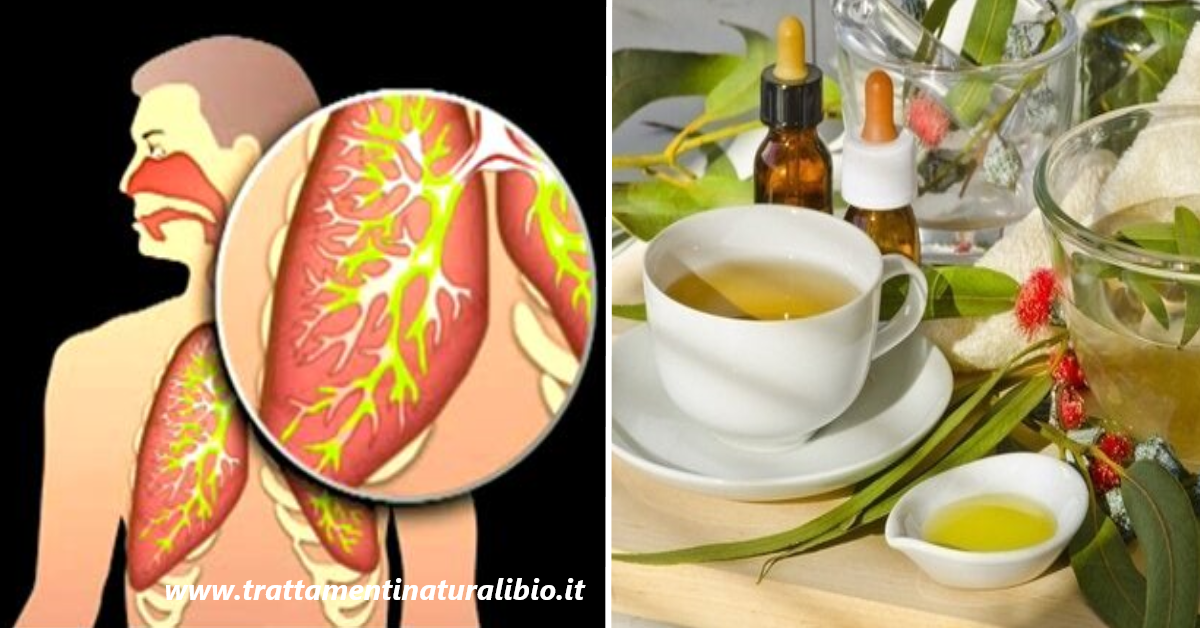 L’infuso che elimina tutto il catarro e disintossica i polmoni L’infuso che elimina tutto il catarro e disintossica i polmoni