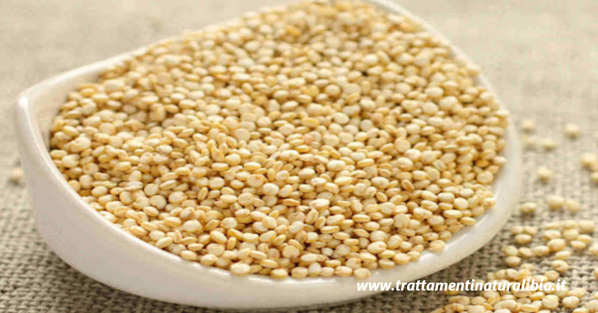 Quinoa il super-alimento che fa dimagrire e ci fa vivere meglio Quinoa: il super-alimento che fa dimagrire e ci fa vivere meglio