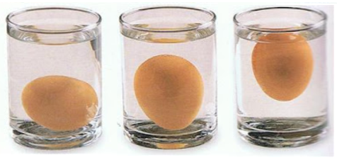 Come capire se un uovo è fresco