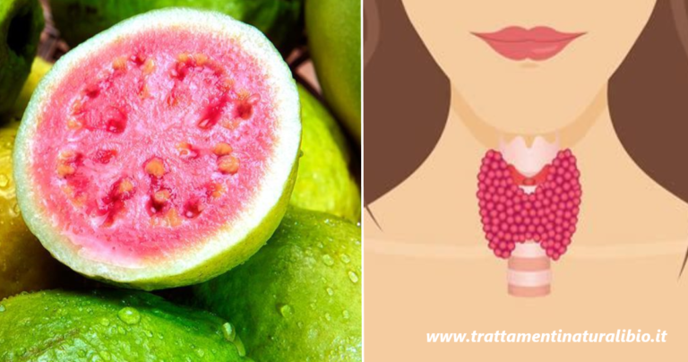 Guaiava: il frutto che protegge e cura la tiroide, il cui cattivo funzionamento può scatenare diverse condizioni di salute