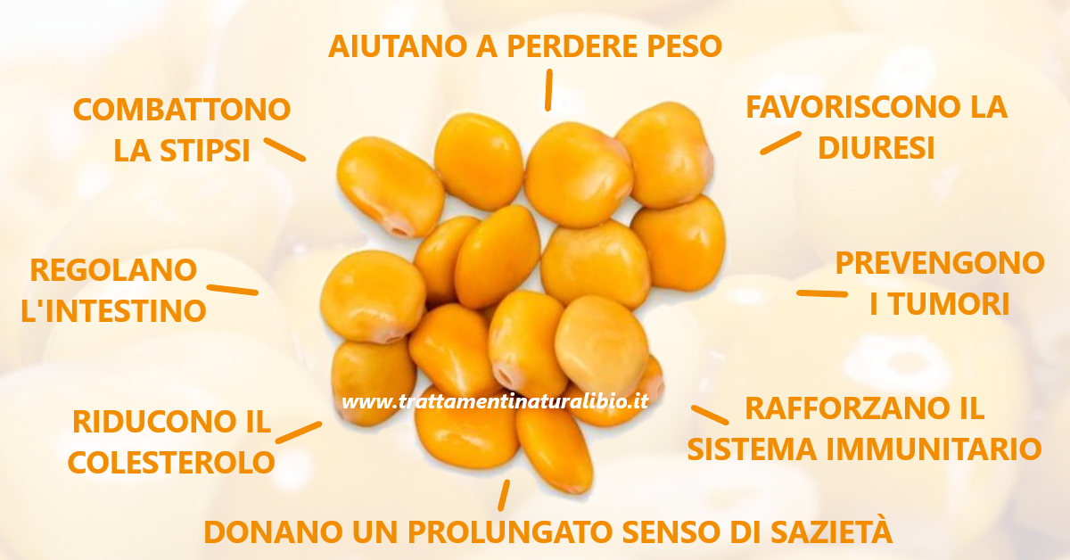 Lupini ricchi di proteine, trattano il diabete, abbassano il colesterolo e regolano la pressione Lupini: ricchi di proteine, trattano il diabete, abbassano il colesterolo e regolano la pressione
