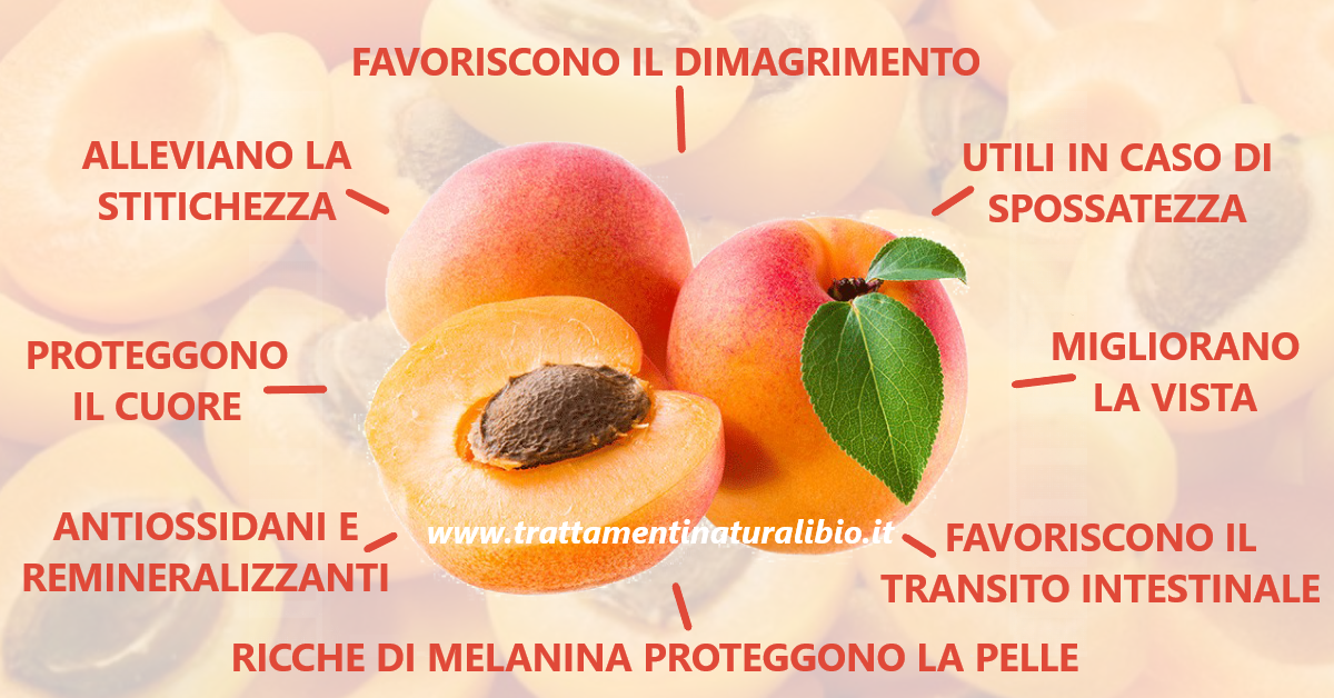 Albicocche fanno perdere peso e alleviano la stitichezza Albicocche: fanno perdere peso e alleviano la stitichezza