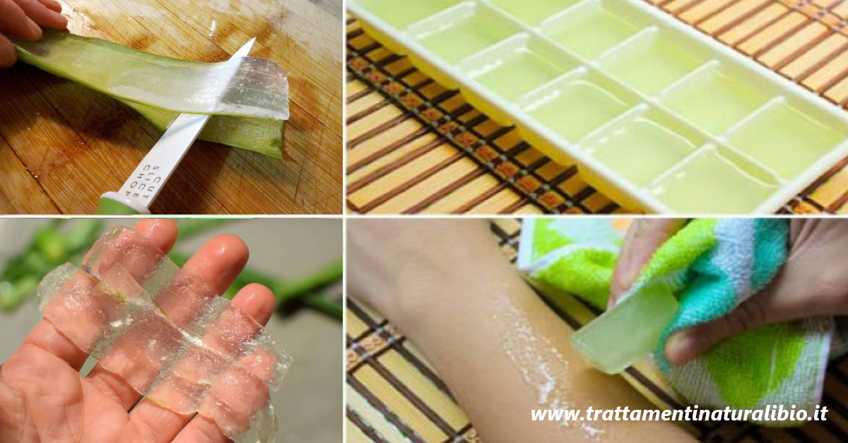 Come congelare l’aloe vera per averlo sempre a portata di mano Come congelare l’aloe vera per averlo sempre a portata di mano