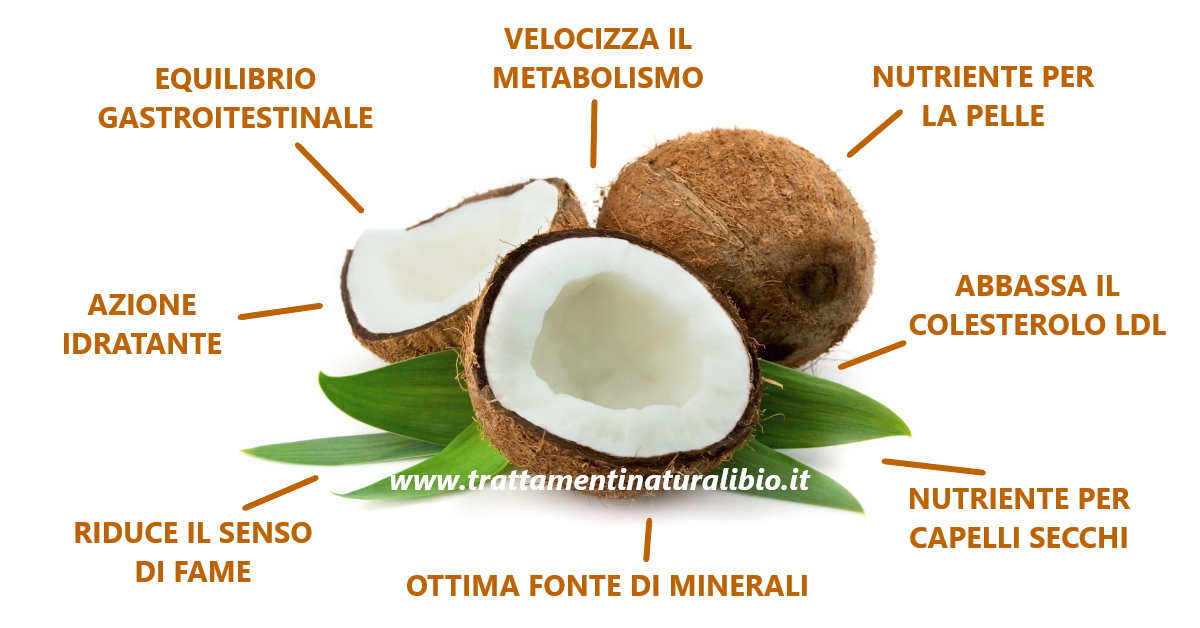Proprietà Benefiche del Cocco Proprietà Benefiche del Cocco