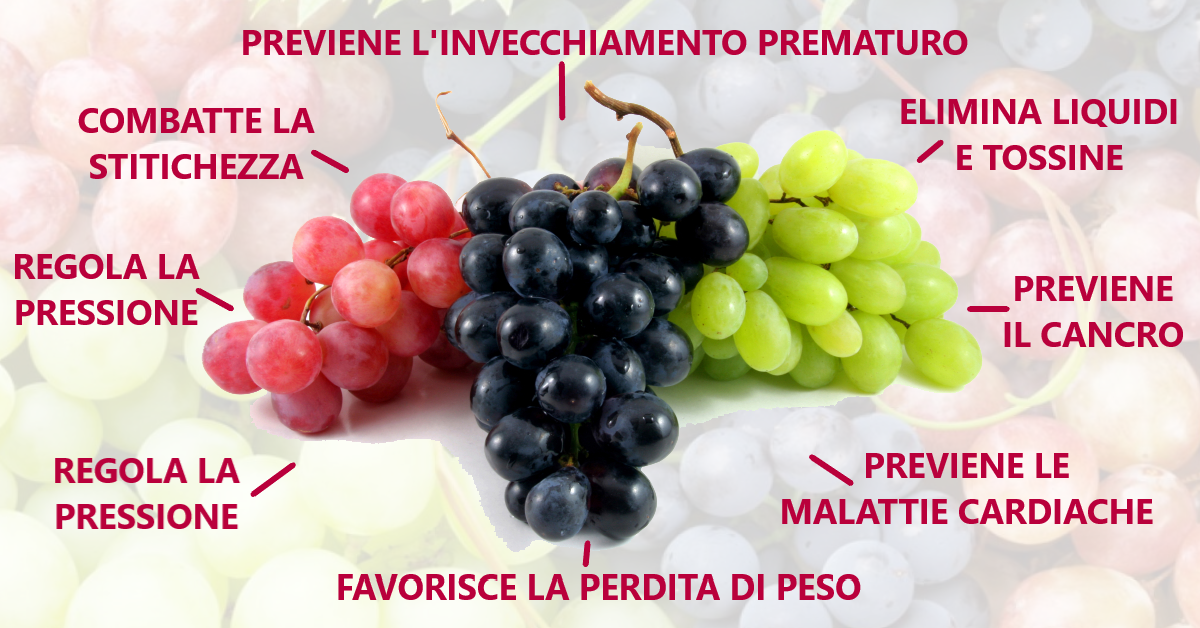 Proprietà Benefiche dell'uva