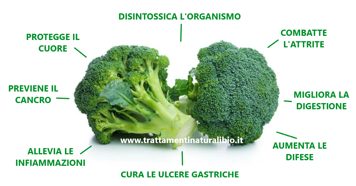 Proprietà Benefiche dei Broccoli Proprietà Benefiche dei Broccoli