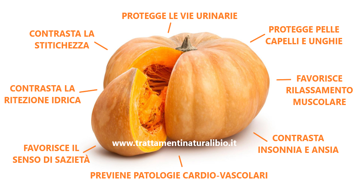 Proprietà Benefiche della Zucca Proprietà Benefiche della Zucca