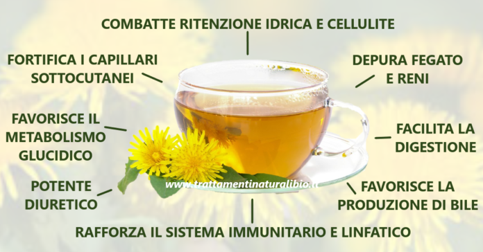 Gli incredibili benefici dell'infuso di tarassaco che sicuramente non conosci Gli incredibili benefici dell'infuso di tarassaco che sicuramente non conosci