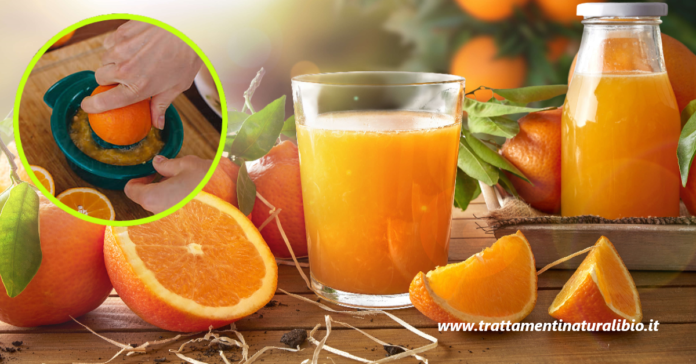 Gli incredibili benefici della spremuta d'arancia: ecco perché dovresti berla tutti i giorni