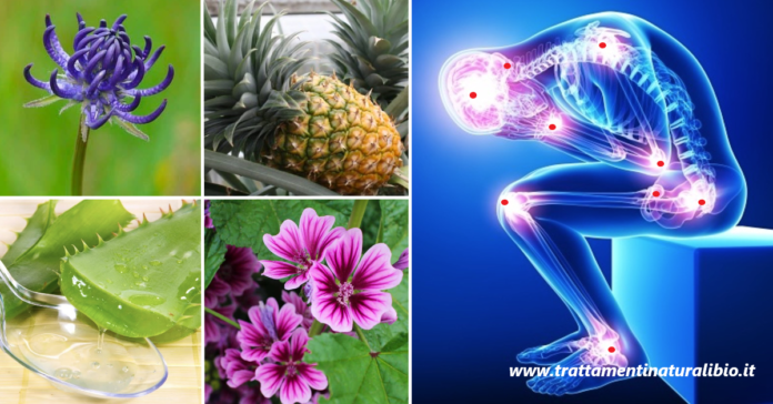 Antinfiammatori naturali ecco quali sono i più potenti dall'effetto immediato Antinfiammatori naturali: ecco quali sono i più potenti dall'effetto immediato