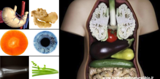 13 alimenti che assomigliano incredibilmente agli organi che curano
