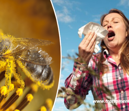 Allergia al polline: 7 consigli per alleviare immediatamente i sintomi