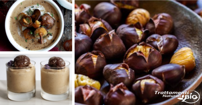 7 modi Deliziosi di preparare le Castagne che sicuramente non conoscevi 7 modi Deliziosi di preparare le Castagne che sicuramente non conoscevi